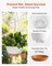2-Pack 10" Self-Watering Hanging Planters with Drainage Holes